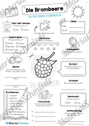 Steckbrief Brombeere (Vorschau)