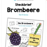 Steckbrief Brombeere