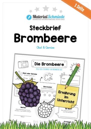 Steckbrief Brombeere