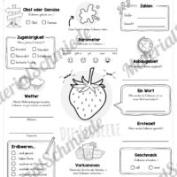 Steckbrief Erdbeere (Vorschau)