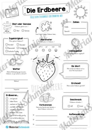 Steckbrief Erdbeere (Vorschau)