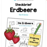 Steckbrief Erdbeere