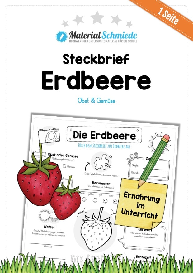 Steckbrief Erdbeere