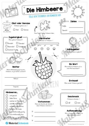 Steckbrief Himbeere (Vorschau)