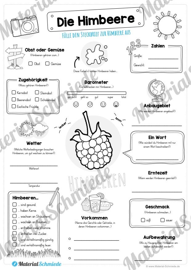 Steckbrief Himbeere (Vorschau)