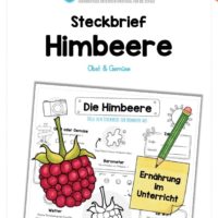Steckbrief Himbeere