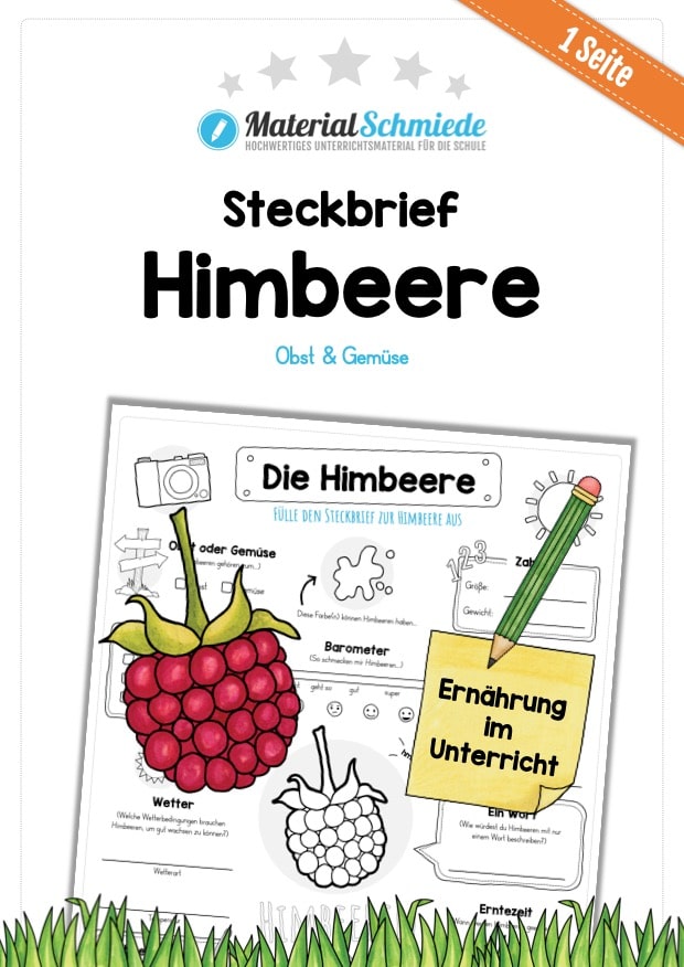 Steckbrief Himbeere