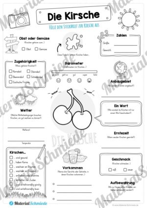 Steckbrief Kirsche (Vorschau)