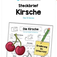 Steckbrief Kirsche