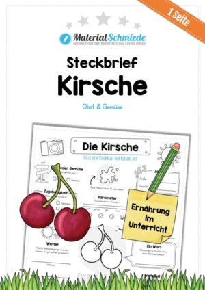 Steckbrief Kirsche