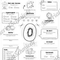 Steckbrief Kiwi (Vorschau)
