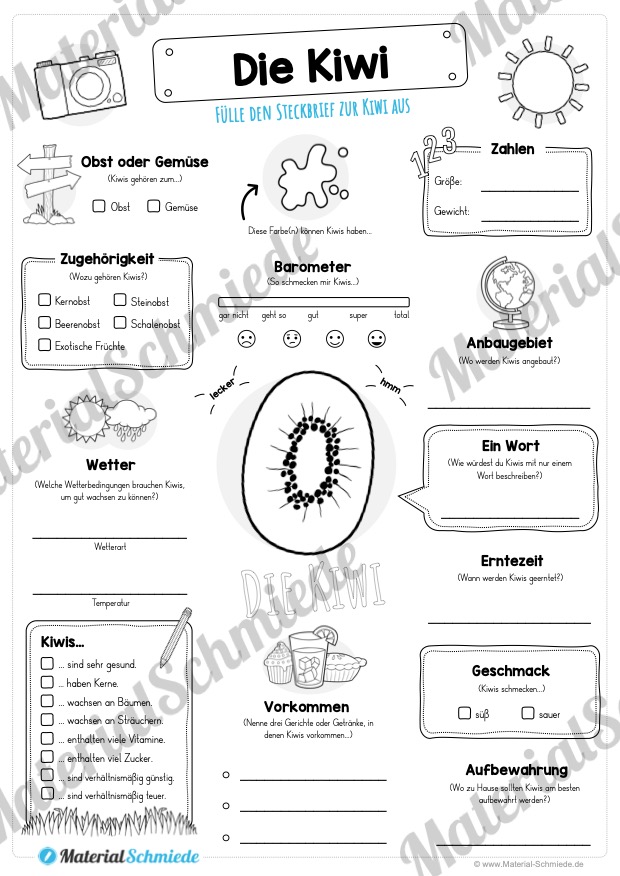 Steckbrief Kiwi (Vorschau)