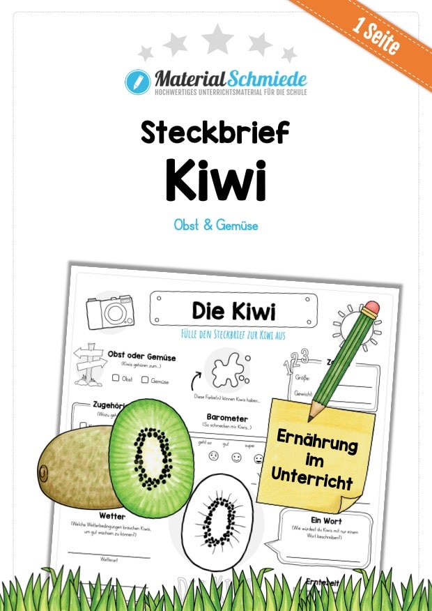 Steckbrief Kiwi