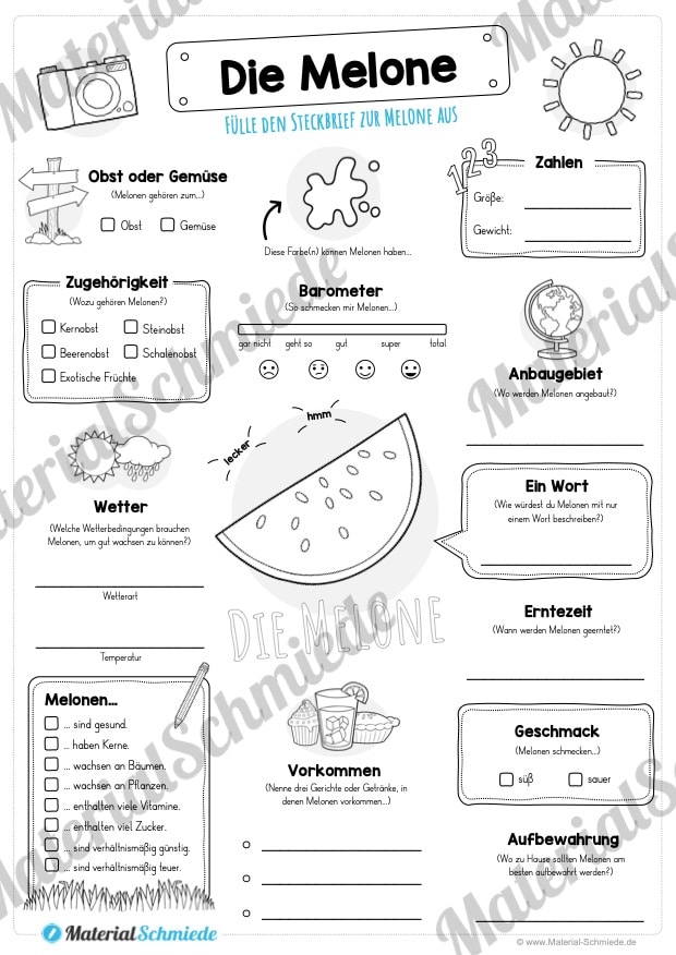 Steckbrief Melone (Vorschau)