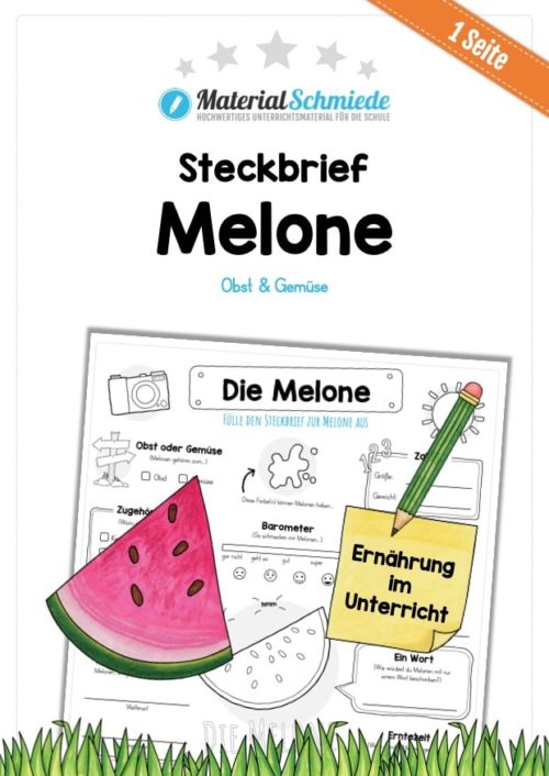 Steckbrief Melone