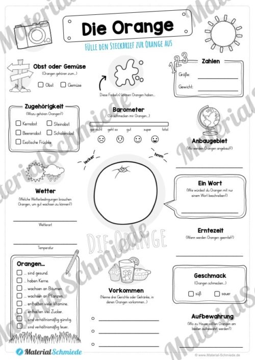 Steckbrief Orange (Vorschau)