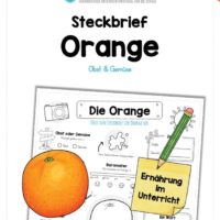 Steckbrief Orange