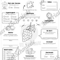 Steckbrief Weintrauben (Vorschau)