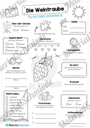 Steckbrief Weintrauben (Vorschau)