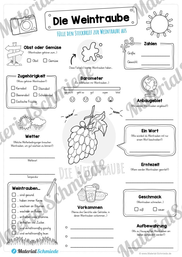 Steckbrief Weintrauben (Vorschau)