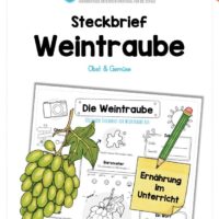 Steckbrief Weintrauben
