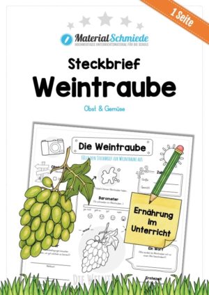 Steckbrief Weintrauben