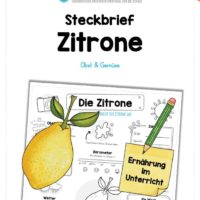 Steckbrief Zitrone