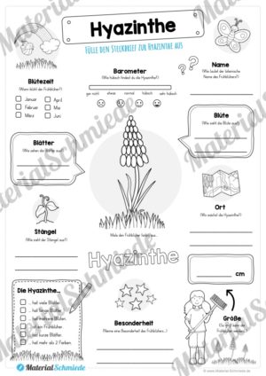 Mega-Bundle: Steckbriefe Frühblüher (Hyazinthe)