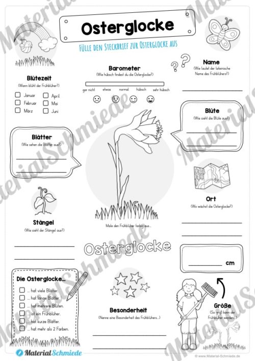 Mega-Bundle: Steckbriefe Frühblüher (Osterglocke)