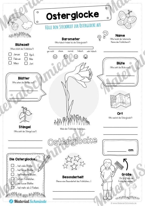 Mega-Bundle: Steckbriefe Frühblüher (Osterglocke)