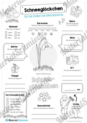 Mega-Bundle: Steckbriefe Frühblüher (Schneeglöckchen)