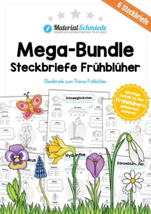 Mega-Bundle: Steckbriefe Frühblüher