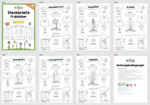 Frühblüher Steckbriefe (Überblick)