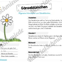 Materialpaket Gänseblümchen (Vorschau 02)