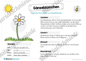 Materialpaket Gänseblümchen (Vorschau 02)