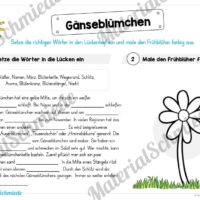 Materialpaket Gänseblümchen (Vorschau 03)