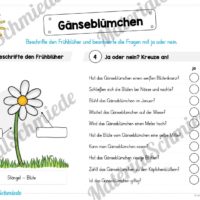 Materialpaket Gänseblümchen (Vorschau 04)