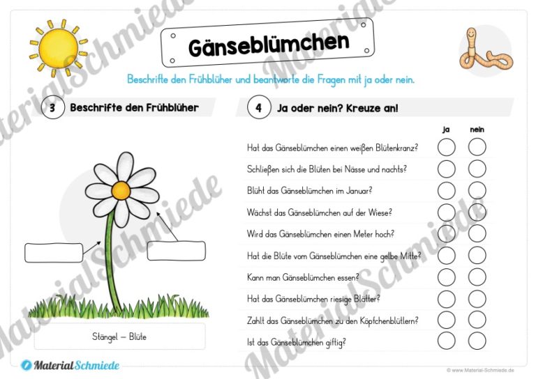 Materialpaket Gänseblümchen (Vorschau 04)