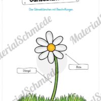 Materialpaket Gänseblümchen (Vorschau 05)