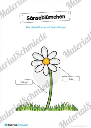 Materialpaket Gänseblümchen (Vorschau 05)