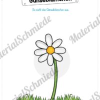 Materialpaket Gänseblümchen (Vorschau 06)