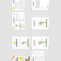 Materialpaket Gänseblümchen (Überblick)