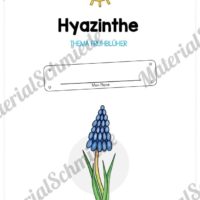 Materialpaket Hyazinthe (Vorschau 01)