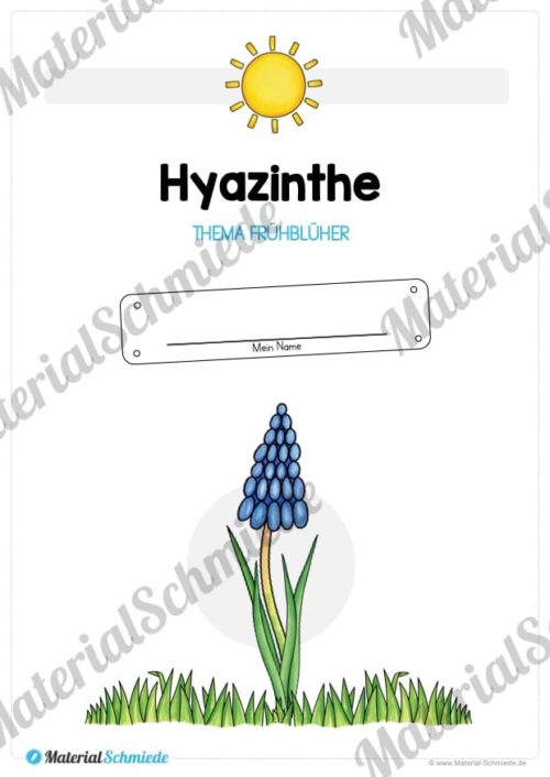 Materialpaket Hyazinthe (Vorschau 01)