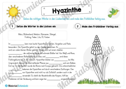 Materialpaket Hyazinthe (Vorschau 03)