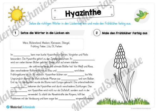 Materialpaket Hyazinthe (Vorschau 03)