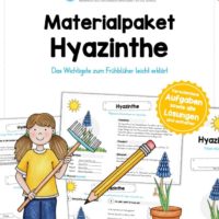 Materialpaket Hyazinthe (6 Arbeitsblätter)