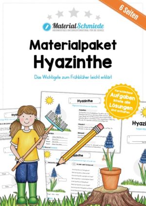 Materialpaket Hyazinthe (6 Arbeitsblätter)