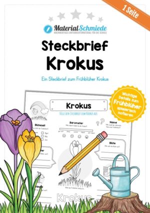 Steckbrief Krokus