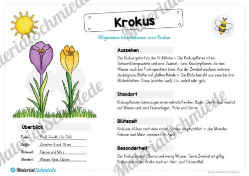 Materialpaket Krokus (Vorschau 02)